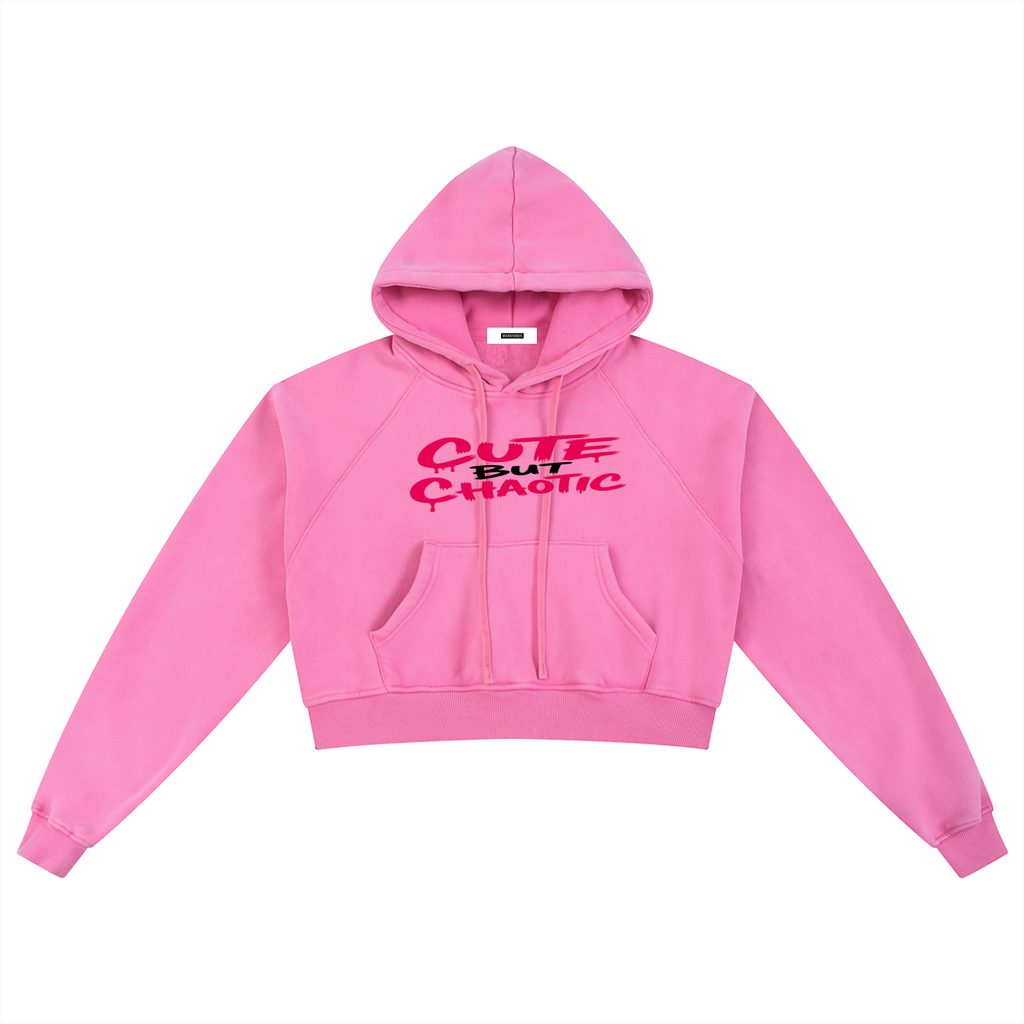 Snow Washed Cropped Hoodie