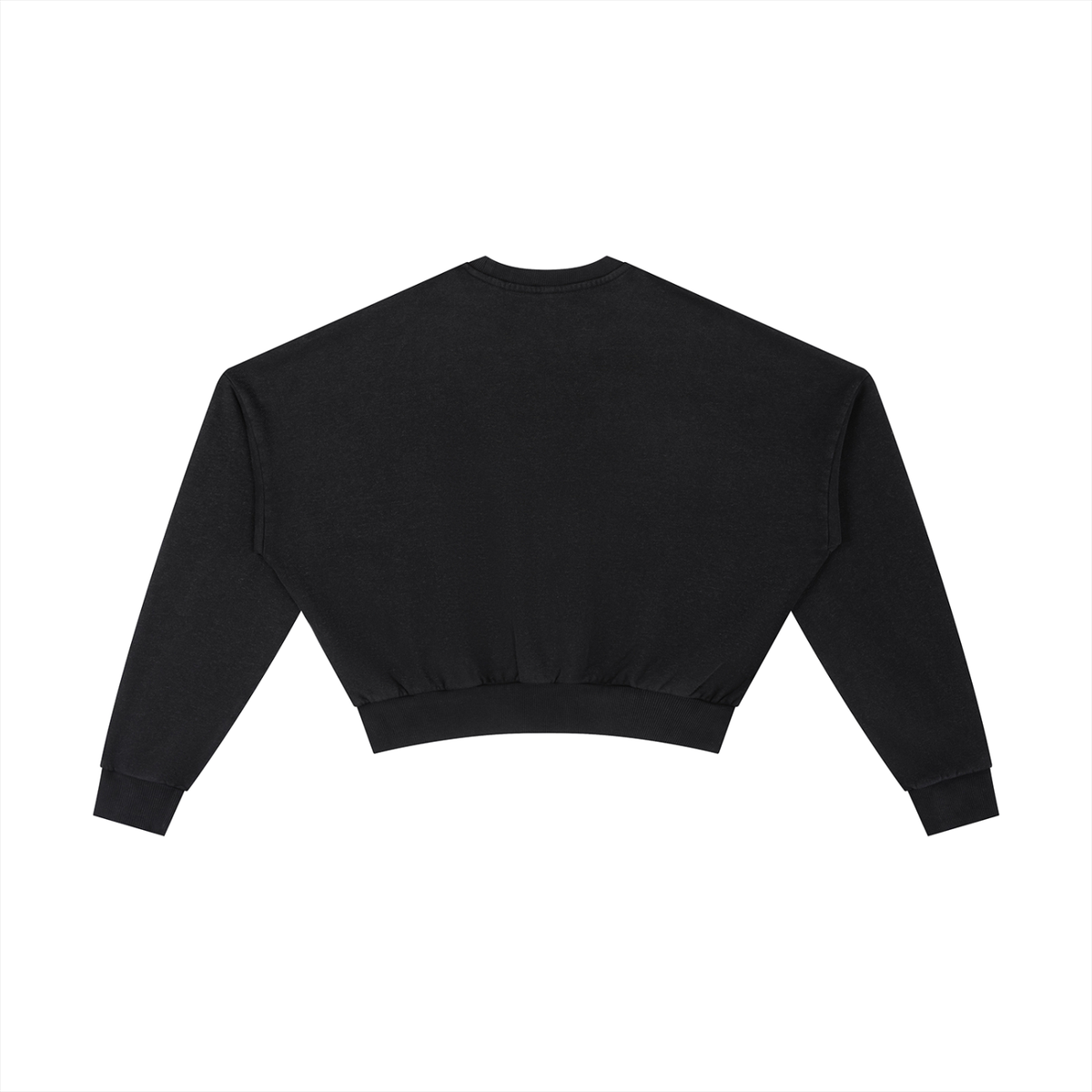 Vintage Washed Cropped Sweatshirt