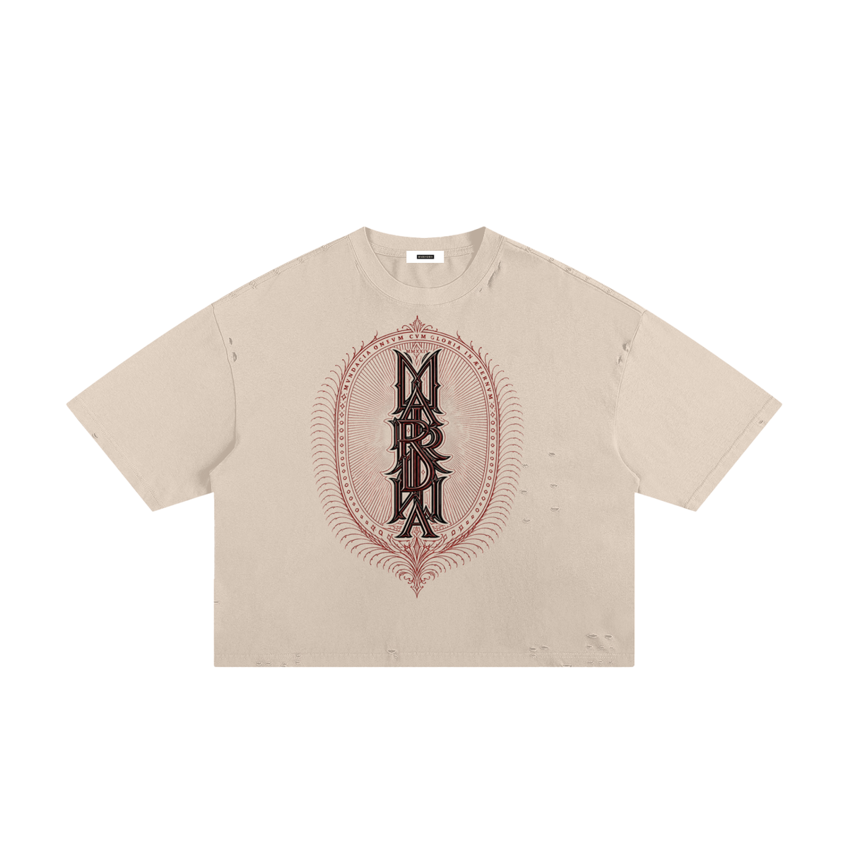 Classic Frayed Boxy Tee